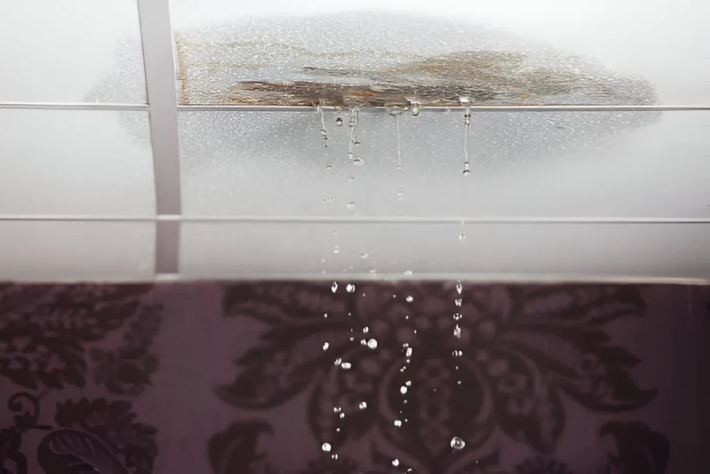 how to repair a leak roof
